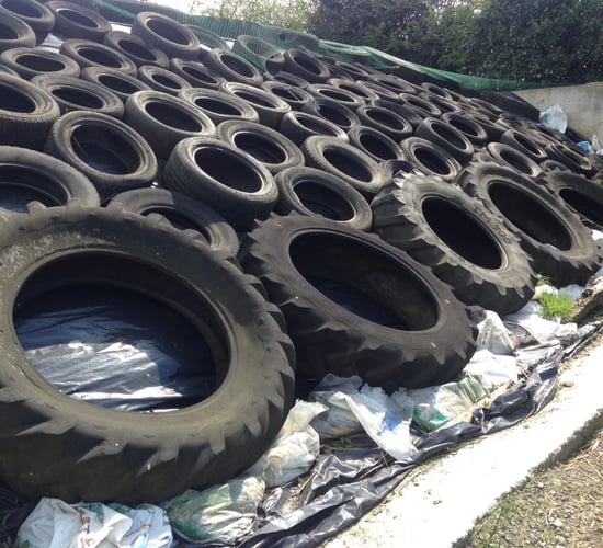 Fodder budget: Time to start preparing for winter