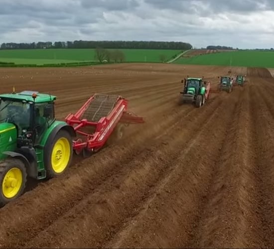 Video: Late planting potatoes? Here's one way to catch up quickly