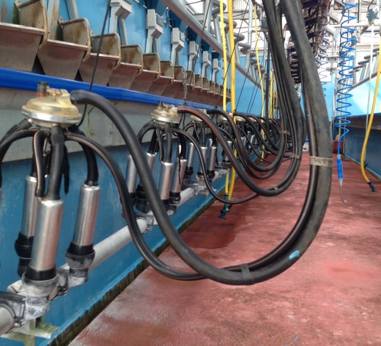 Global Dairy Trade index unchanged after latest auction