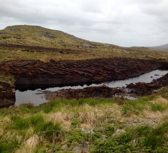 'Maximum flexibility' urged for Wild Atlantic Nature Project