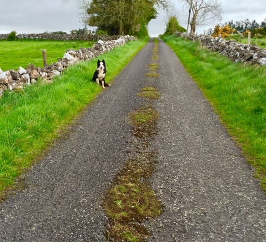 Over 7,000 Single Farm Payment over-claims in 2014
