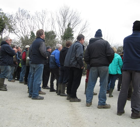 5 key differences in the new discussion group scheme