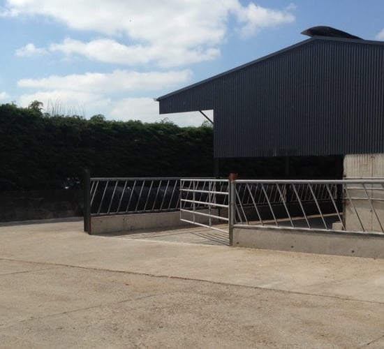 Dairy advice: Setting yourself up for the winter