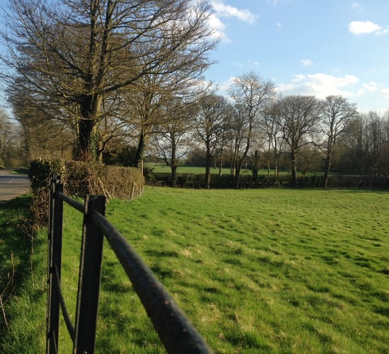 Price paid for medium-sized parcels of land dropped in 2014