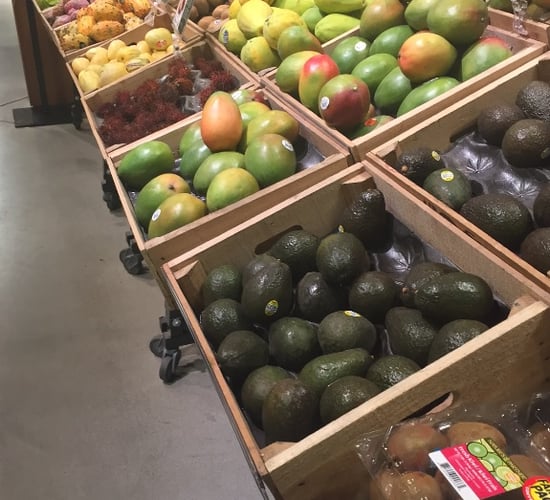 France is to ban supermarkets throwing away edible food