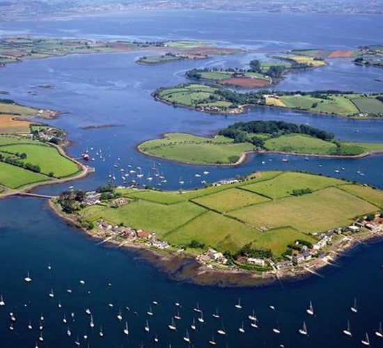 Over 900 island farmers to benefit from special payment