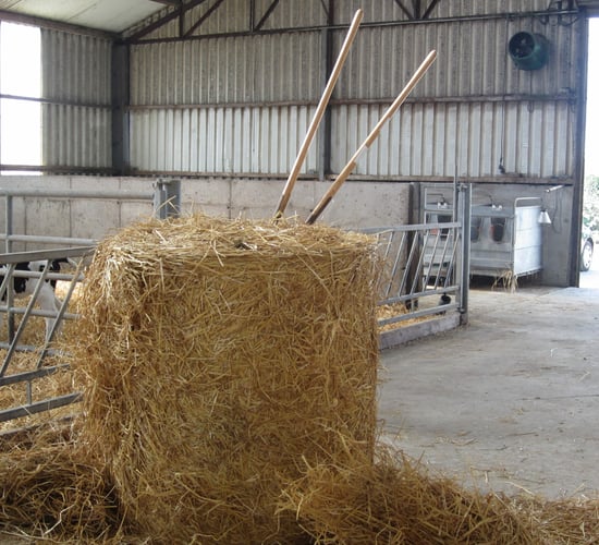 Straw prices: Some opting to store while awaiting price settlement