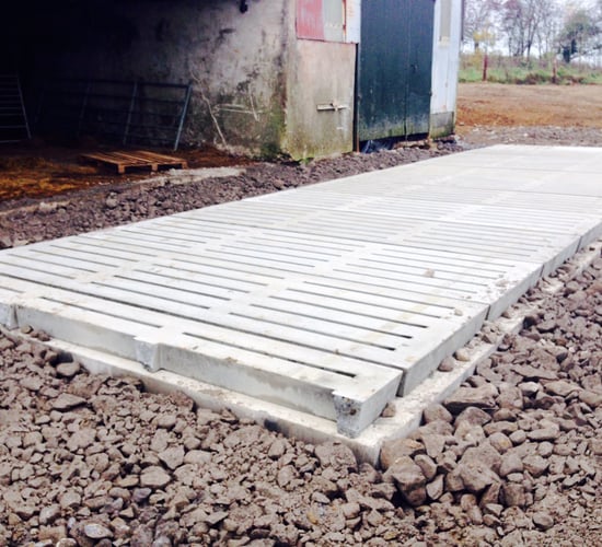 '5 year rule for 60% grants will exclude many young farmers'