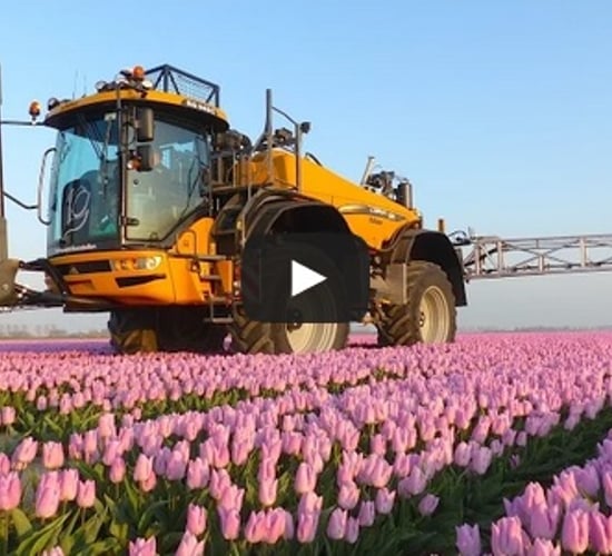 Amazing video captures 36m wide boom spraying tulips