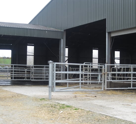ICOS outlines 5 key principles for beef package