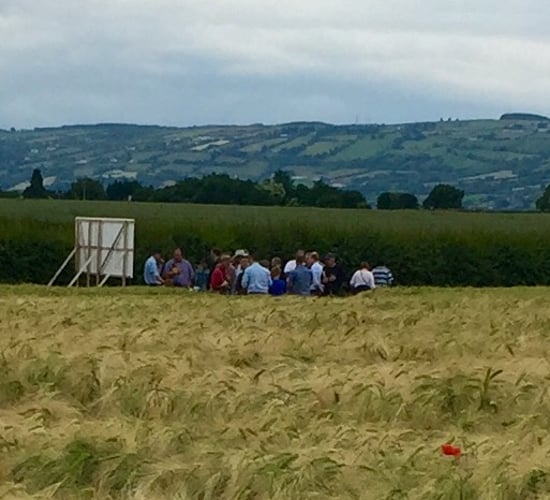 Tillage farmers spend €80m/year on crop protection - Teagasc