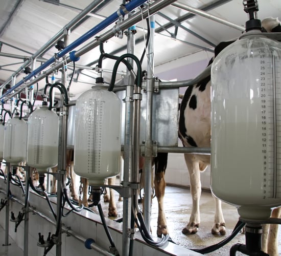 Dairy Ireland warns that milk prices are lurching towards breakeven point