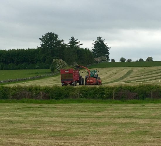 Why Met Eireann doesn't make seasonal forecasts