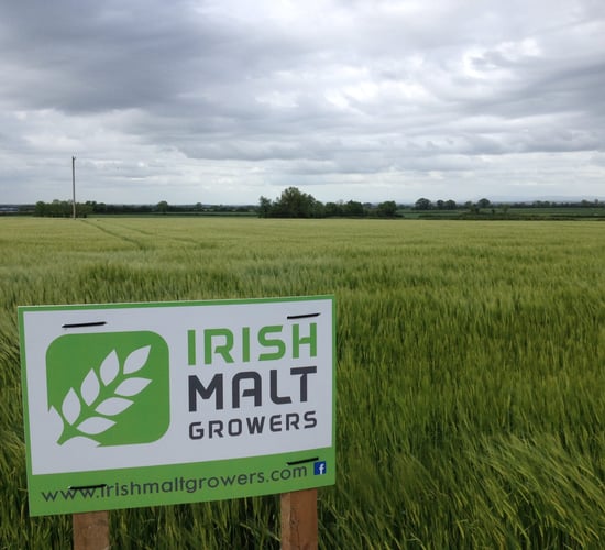New malting barley group to seek contract price negotiating rights