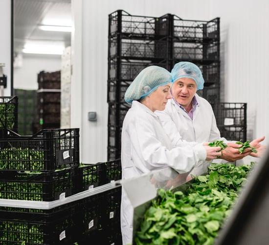 Ulster Bank to invest €2.1m in Meath juice business