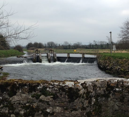 Farming responsible for 53% of water pollution incidents