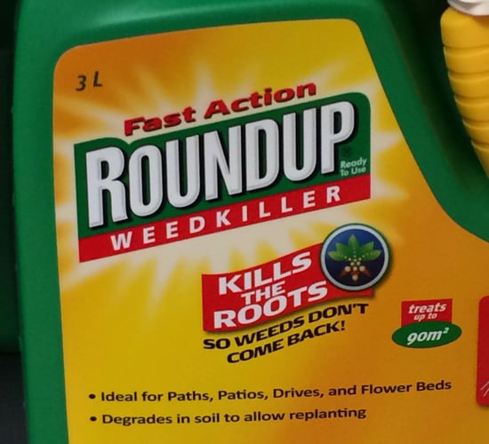 Bayer sets wheels in motion to appeal $289 million glyphosate verdict
