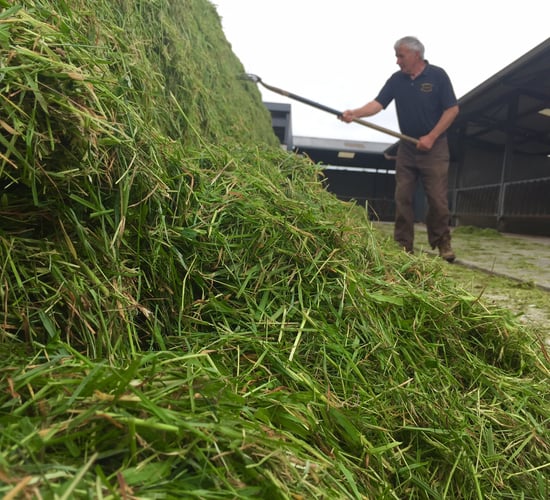 Employment in agriculture jumps by almost 4,000