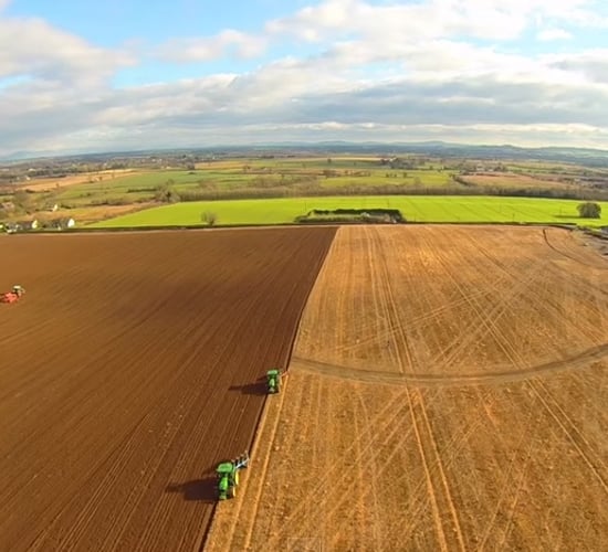 Video: Beans means ploughing, harrowing and sowing in Carlow