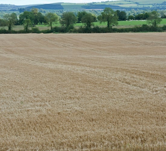 Top 10 tips on leasing out land