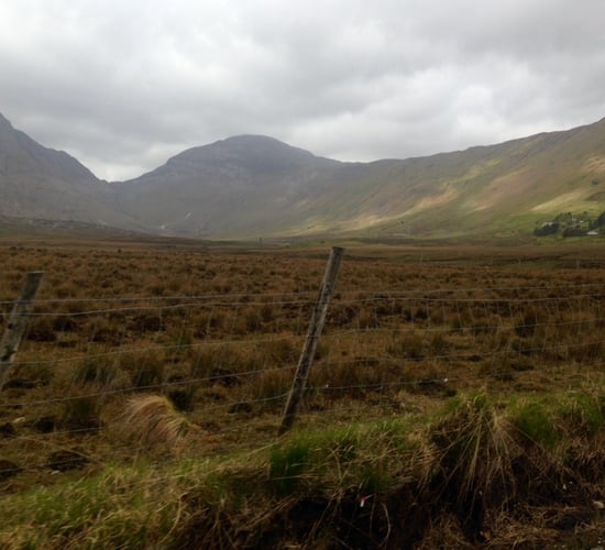 INHFA: EU Nature Restoration Law will undermine rural economy