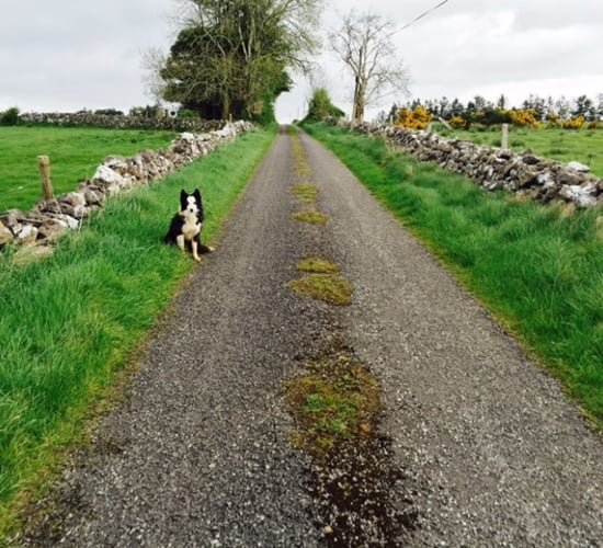 1,200 farmers still waiting for AEOS payment