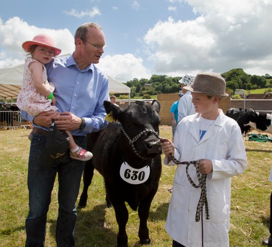 Cork summer show extends opening hours to accommodate huge crowds