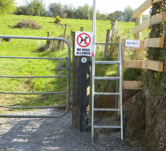 EU financial instruments will help attract private money - Hogan