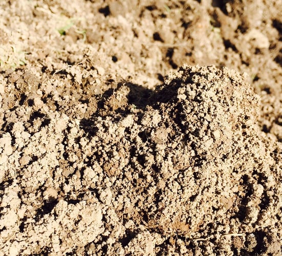 Feed the worms…they’re good for your soil