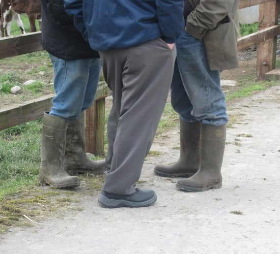 Agriland to launch multimedia campaign on farm safety with DAFM