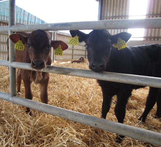 €5,000 prize giveaway for Glanbia photo competition