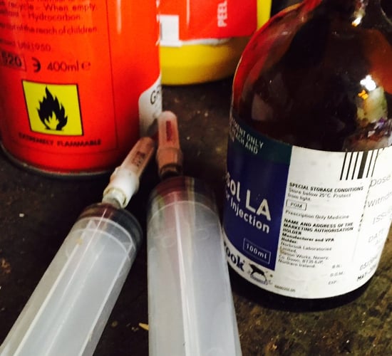 Reducing antibiotic usage: Looking past just SDT