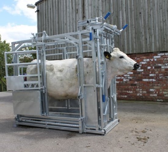Options for cattle handling equipment under 40% grant scheme