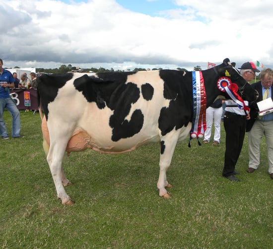 Trade stands already booked out ahead of Tullamore Show