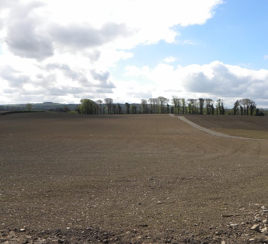 Teagasc tips for successful grass reseeding