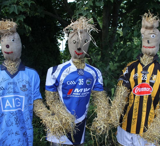 Pics: The Durrow Scarecrow Festival starts this weekend