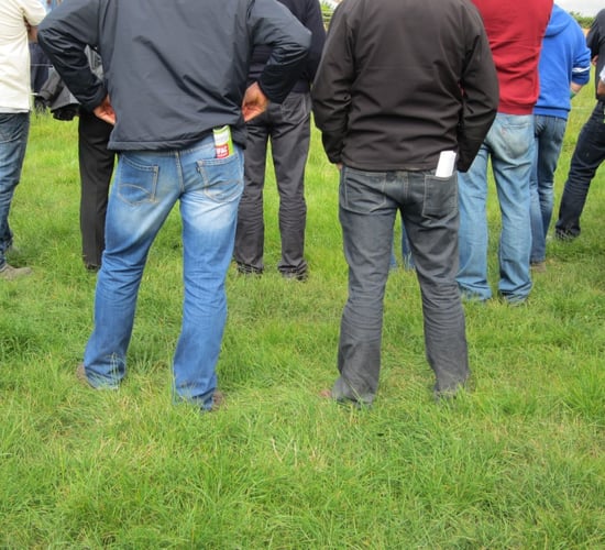 Key information meetings for new discussion group facilitators