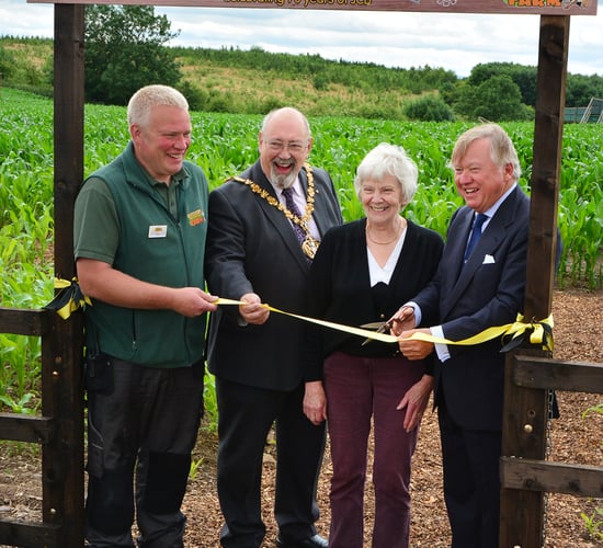 JCB celebrates 70 years with a giant maize maze