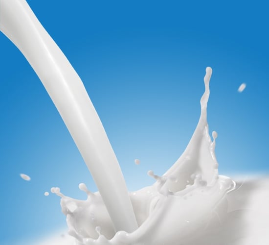 Would you try camel milk? Ray D'Arcy did on live radio
