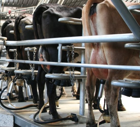 Arla UK cuts milk price for third consecutive month