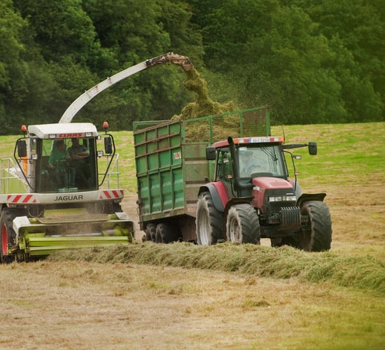 Cutting silage? Here's how to make the neighbours jealous with your quality silage