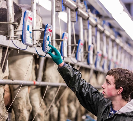 Department estimates 6,500 dairy farmers were over quota (facing €69m bill)