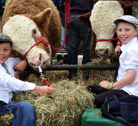 Virginia Agricultural Show set to celebrate its 77th birthday