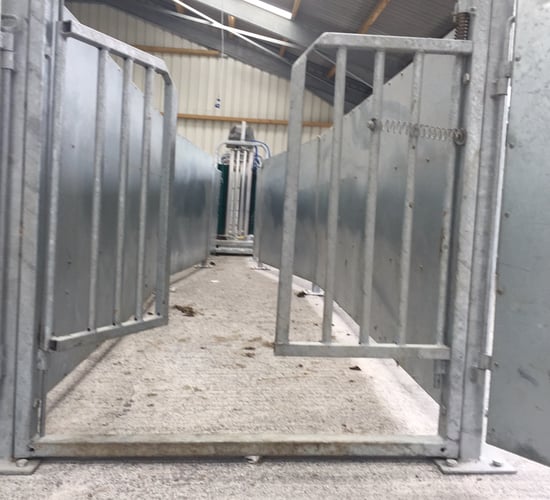 3 sheep handling units that qualify for 40% grant aid