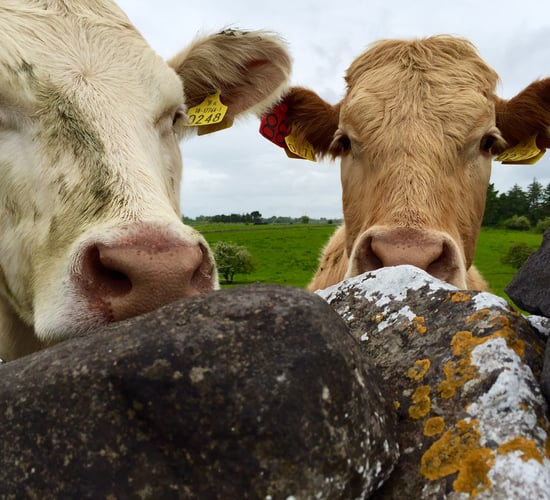 Unsettled weather here to stay for weekend - Met Eireann