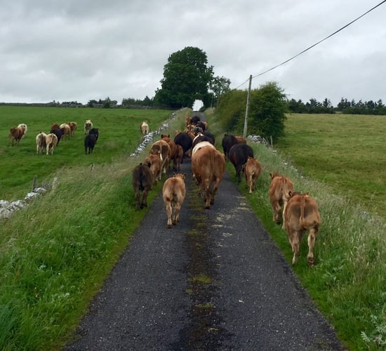 Changeable weather to continue this week - Met Eireann
