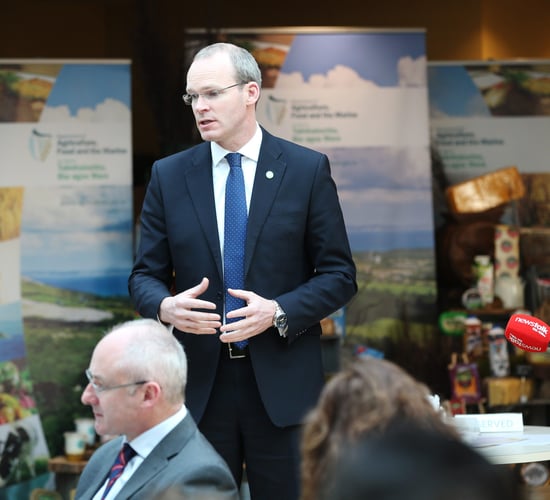 Legal protection of certain Irish foods strengthened by law