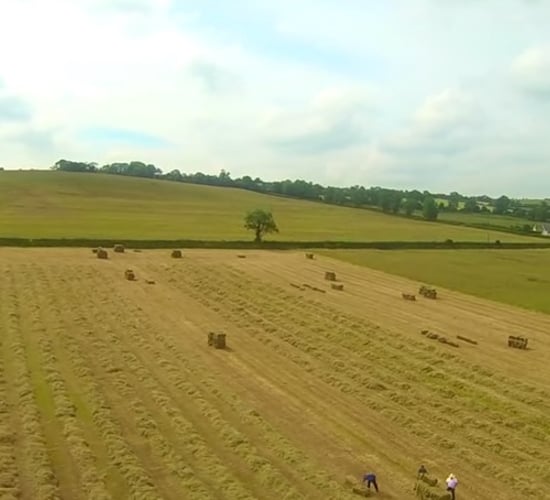 Video: Baling hay for the Aga Khan in Laois