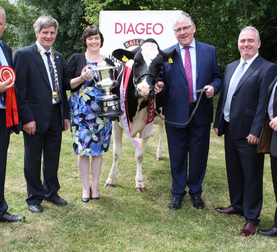€10,000 up for grabs at dairy livestock competition