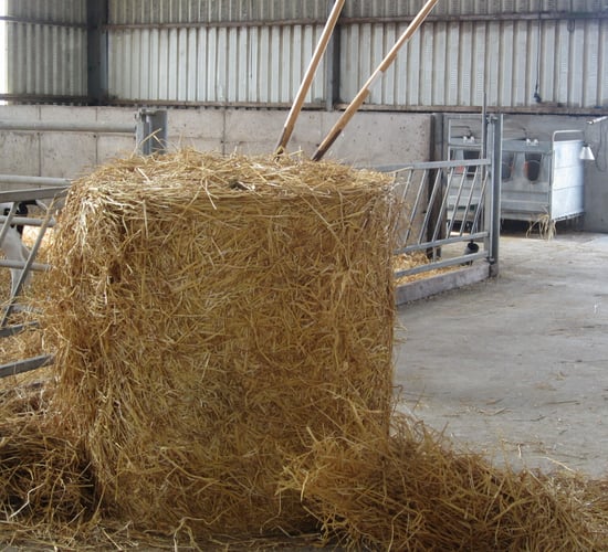 Straw prices average less than €25/bale